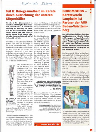 KiKonzept-Artikel im DKV-Heft in 2011